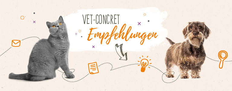 Vet-Concret Empfehlungen