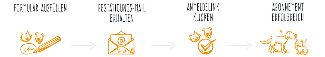 Formular ausfllen, Besttigungs-Mail erhalten, Anmeldelink klicken, Abonnement erfolgreich
