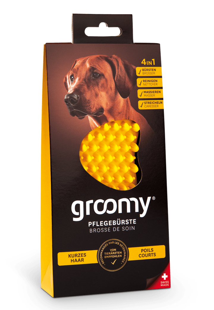 GROOMY® Pflegebürste für kurzes Hundehaar, gelb Zubehör FÜR BEIDE