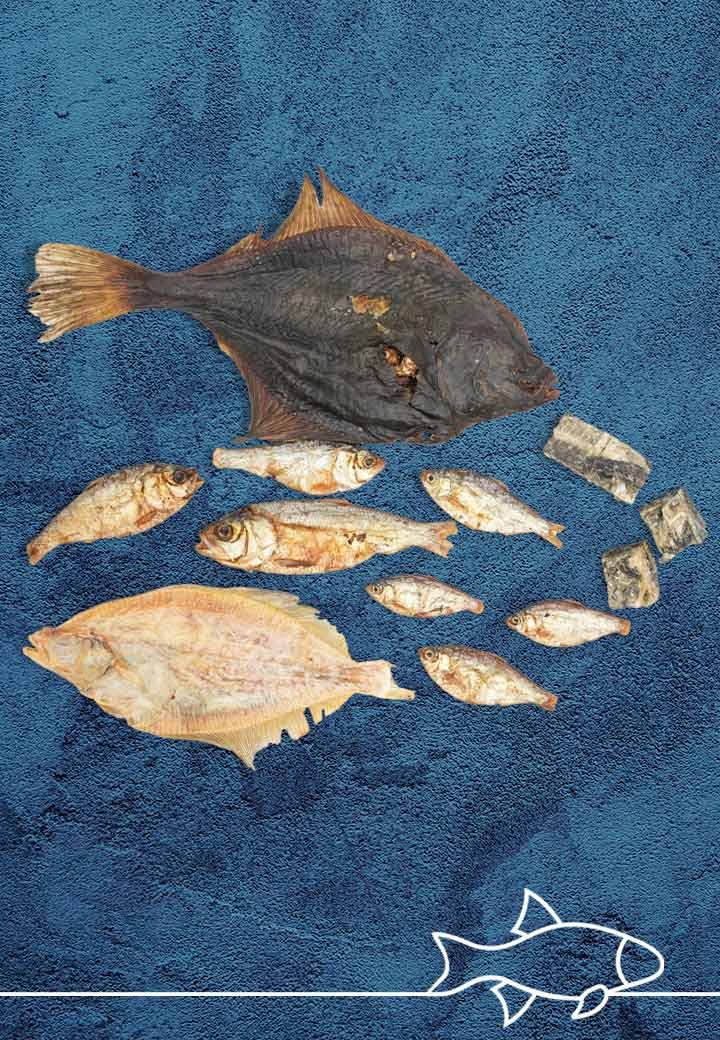 FischMix, 150g für den Hund von VetConcept