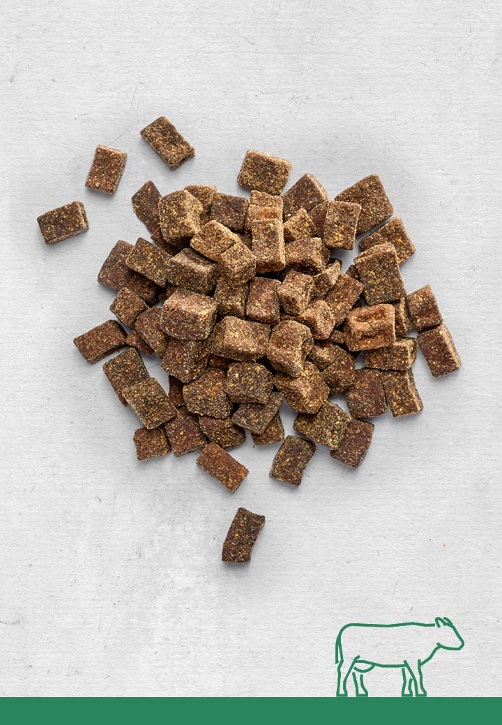 RindfleischLeckerchen, 100g 250g 1000g für den Hund von VetConcept