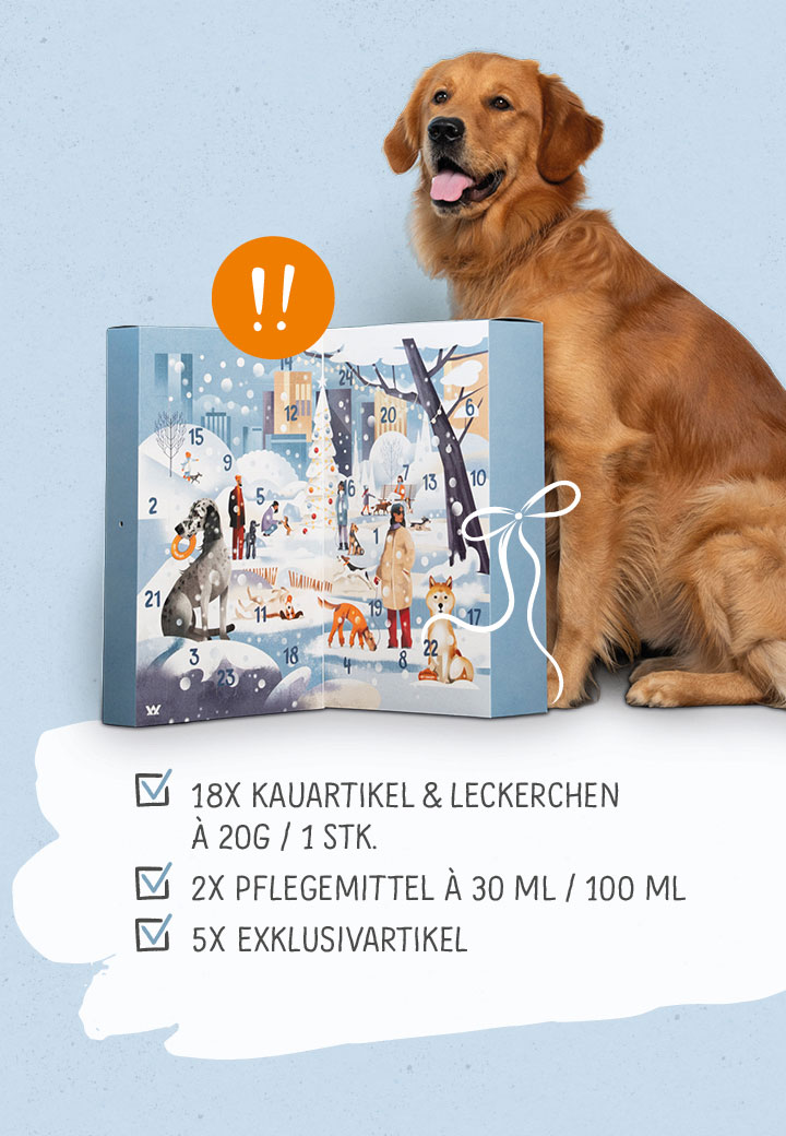 Hunde Adventskalender Ziege Lamm Bild 3