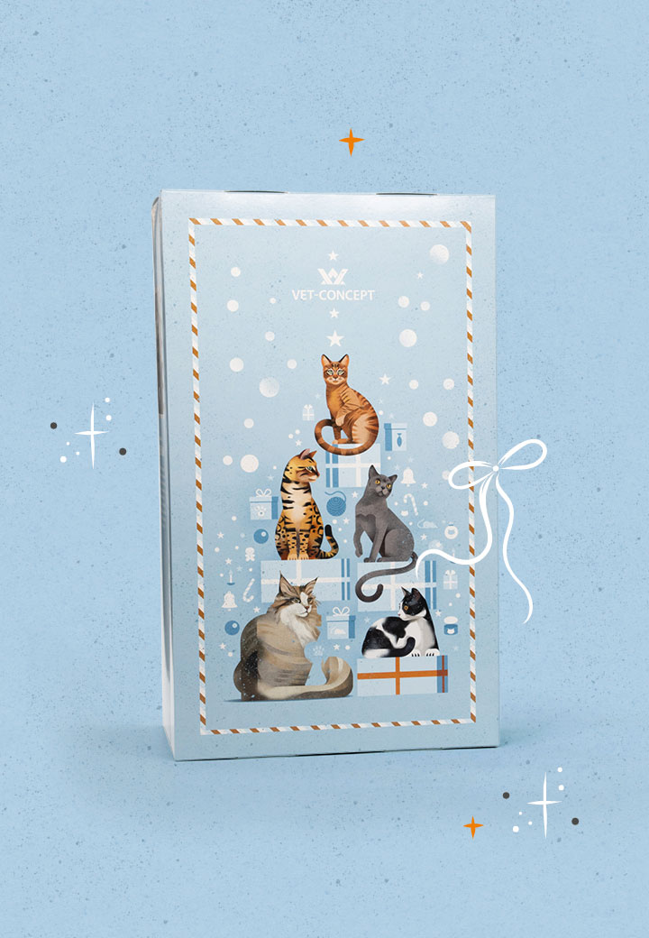 Katze Adventskalender Pferd Bild 2