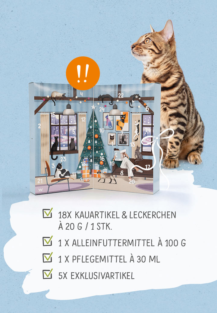 Katzen Adventskalender Kaninchen Hirsch Bild 3