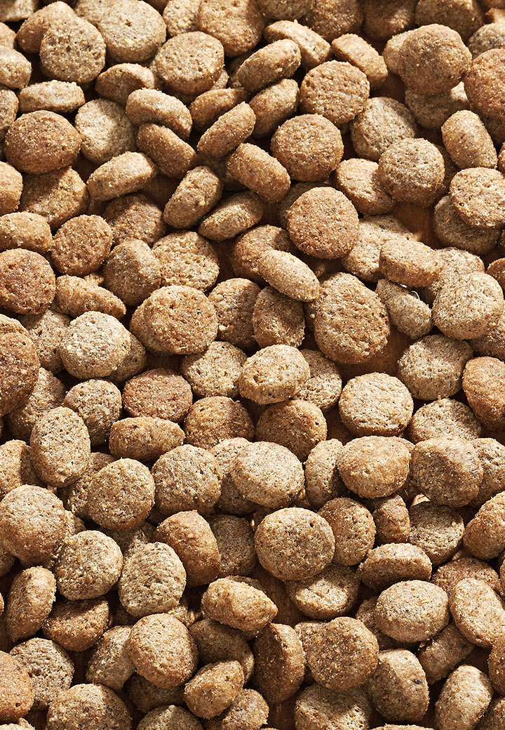 Dog Low Fat