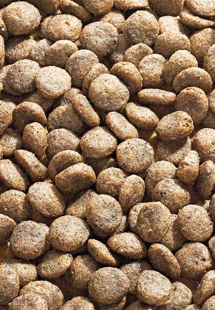 Dog Intestinal Junior Bild 2