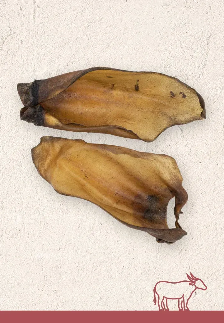 Bueffelohren, 3 Stk.