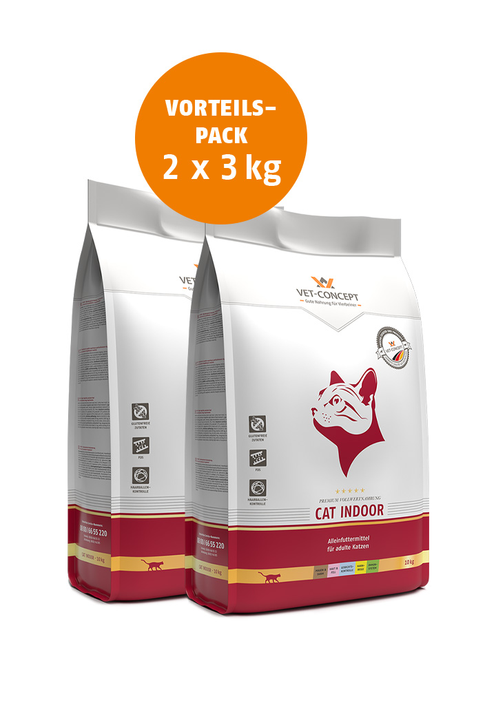 Cat Indoor