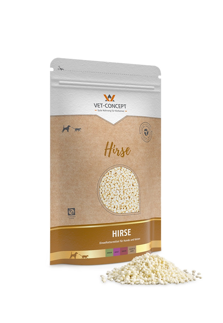 Hirse 500g 2x 500g