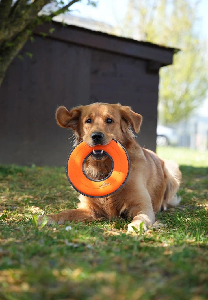 Hundespielzeug Frisbee