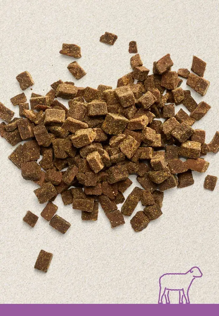 Lammfleisch-Leckerchen, 100g, 250g, 1000g