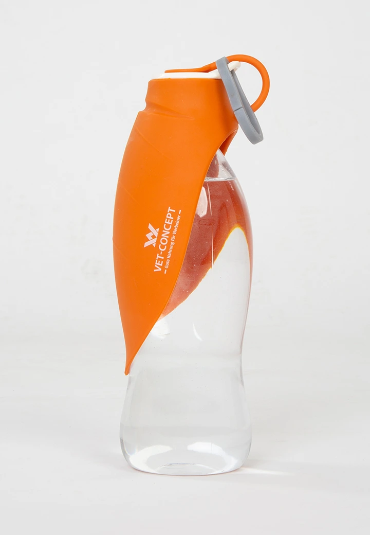 Reisetrinkflasche Blatt