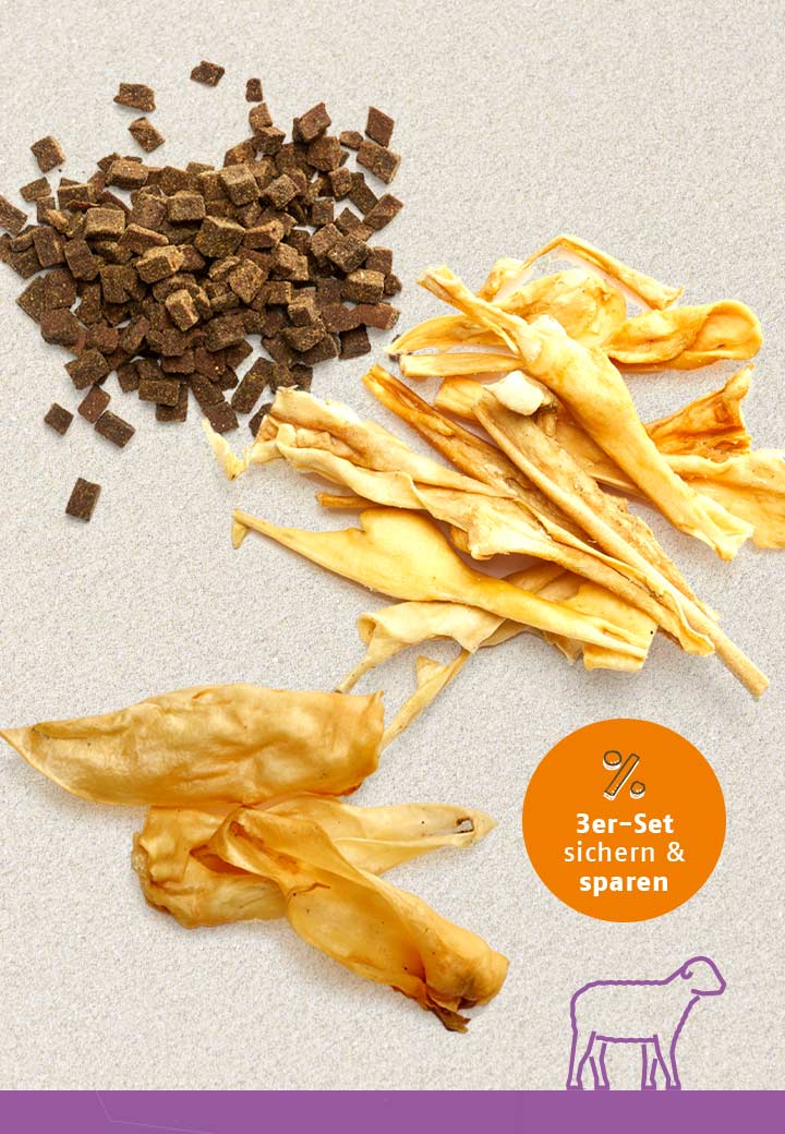 Snack-Bundle-Hund LAMM