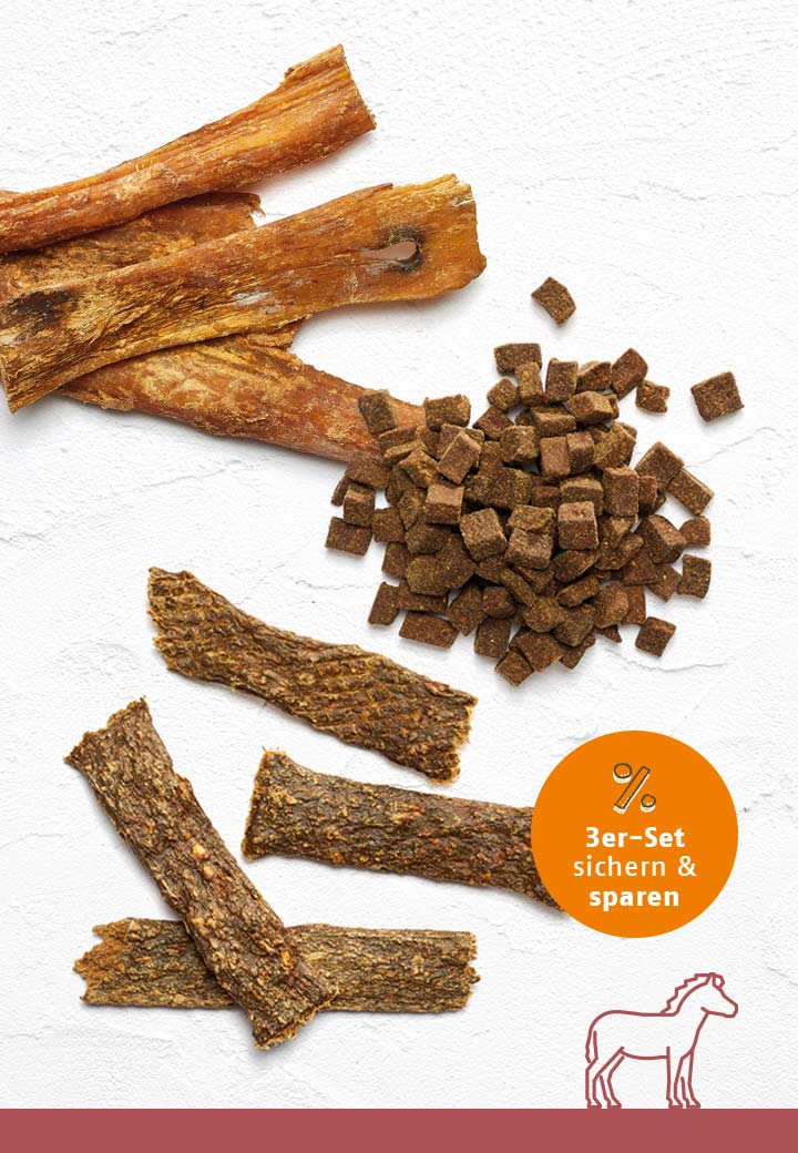 Snack-Bundle-Hund PFERD