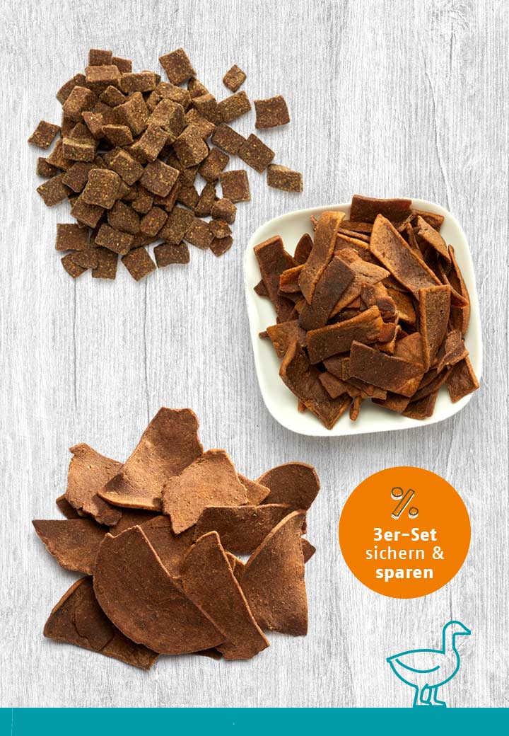 Snack-Bundle-Katze ENTE