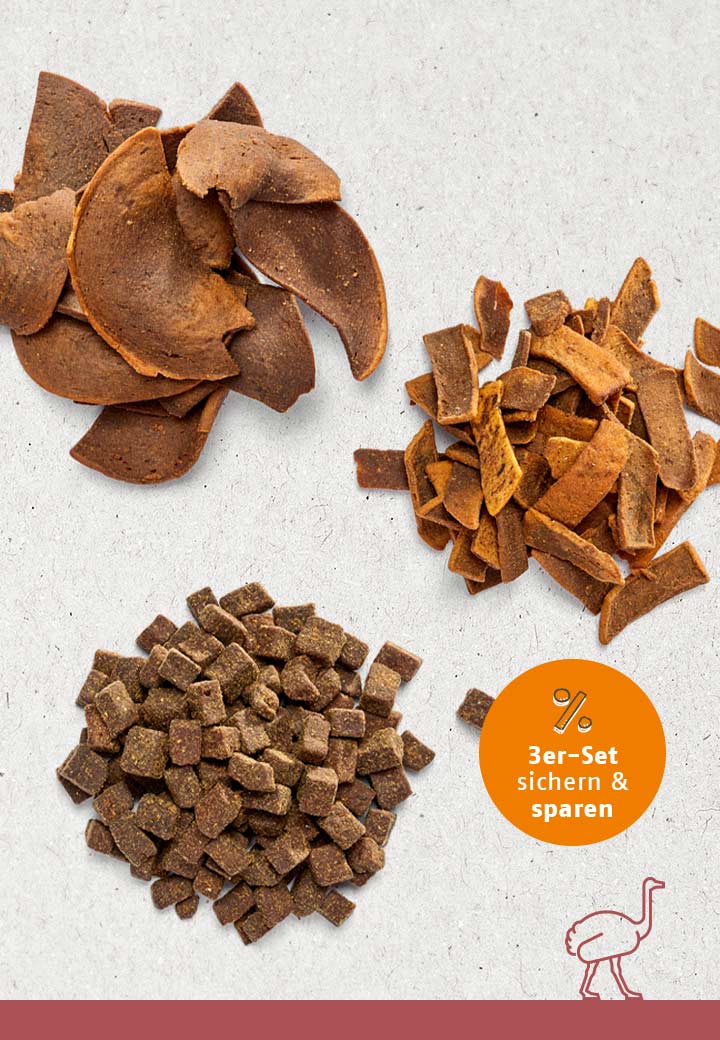 Snack-Bundle STRAUSS