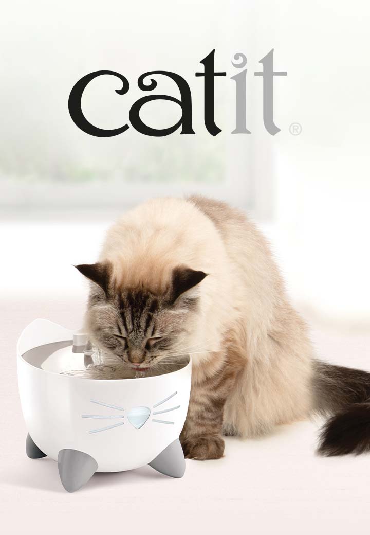 Trinkbrunnen Pixi Smart fr Katzen