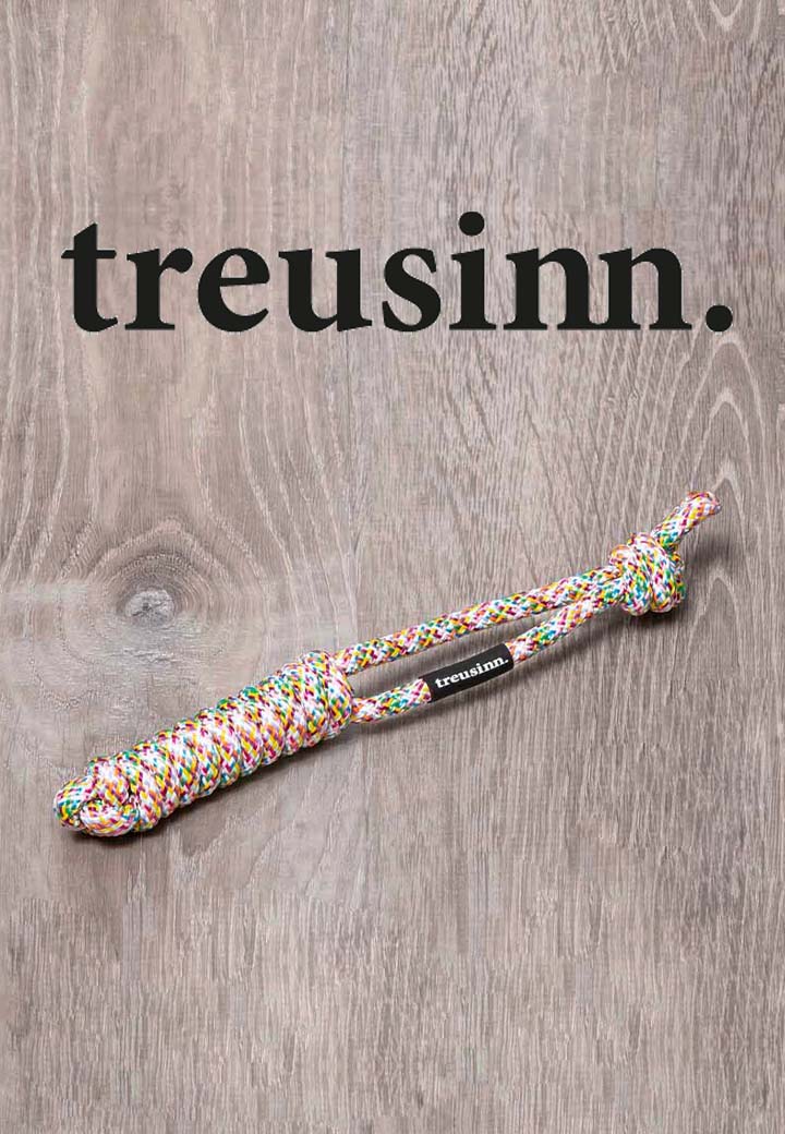 TREUSINN Hundespielzeug Original Spiely mini