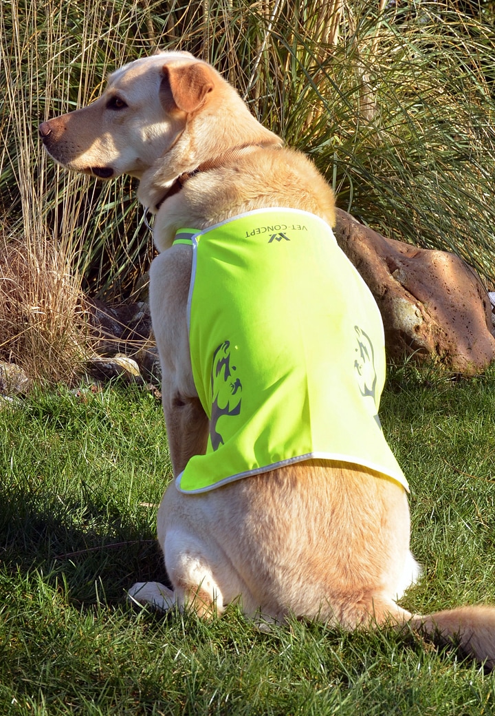 VetConcept Warnweste Hund