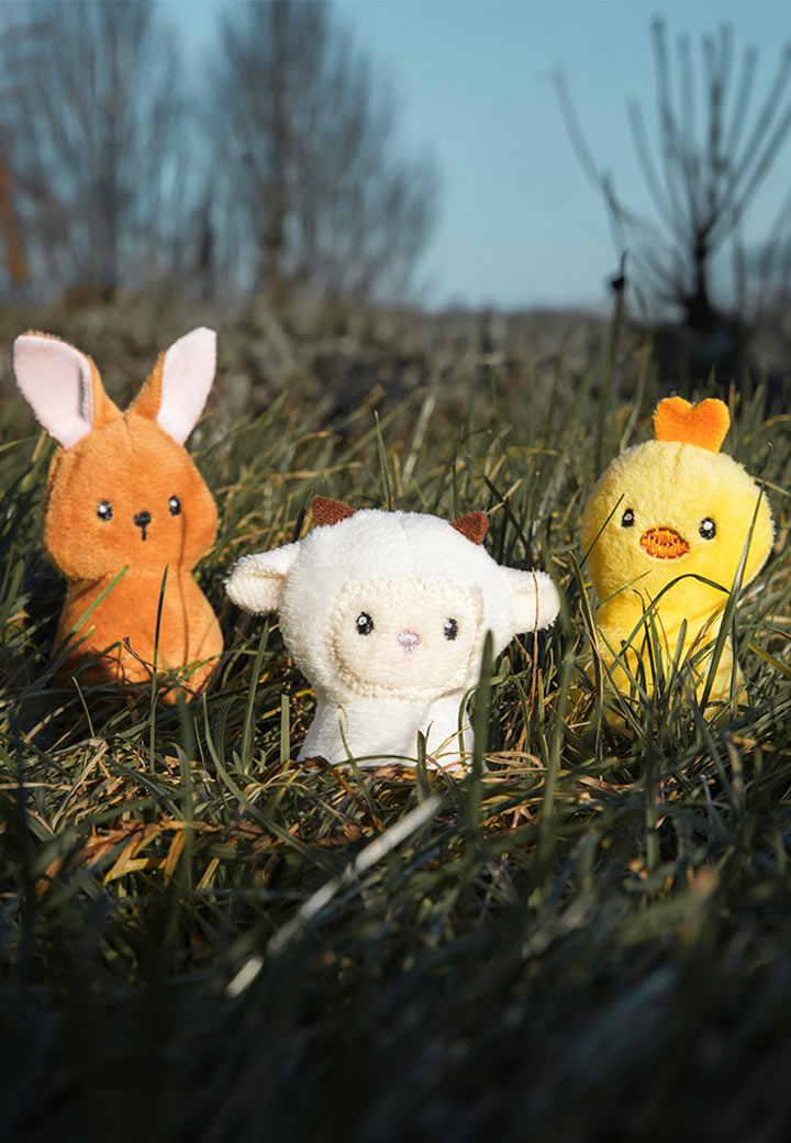 Oster-Trio Bild 5