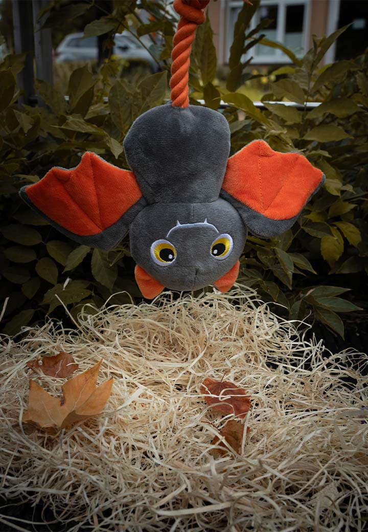 Fledermaus Franzi Bild 3