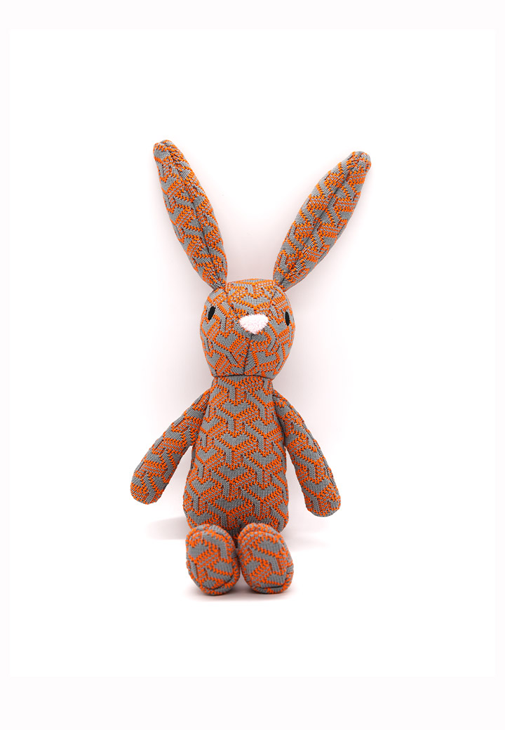 Hase Joschi Bild 2