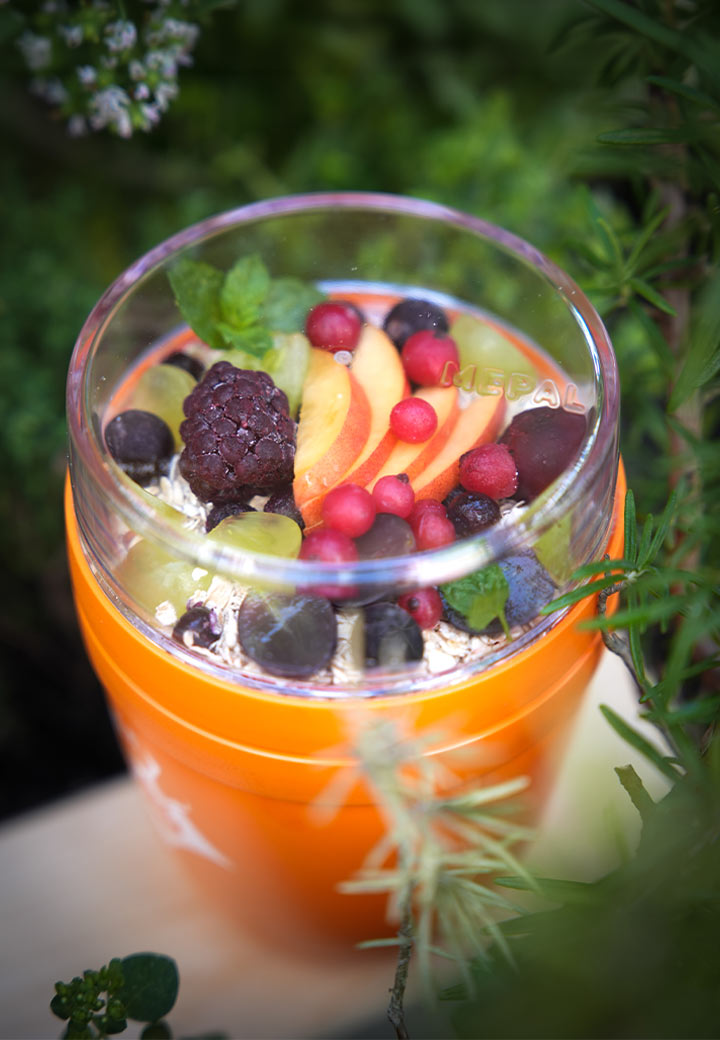 Vet-Concept x Mepal Lunchpot Ellipse orange Bild 2