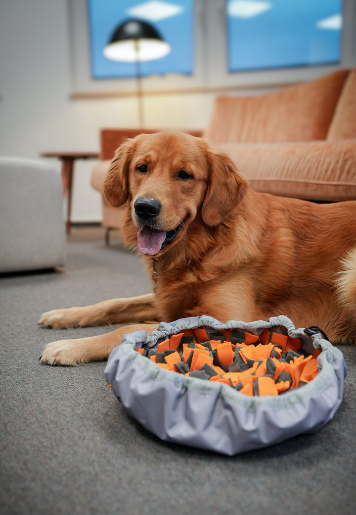 Schn�ffelteppich Bild 3