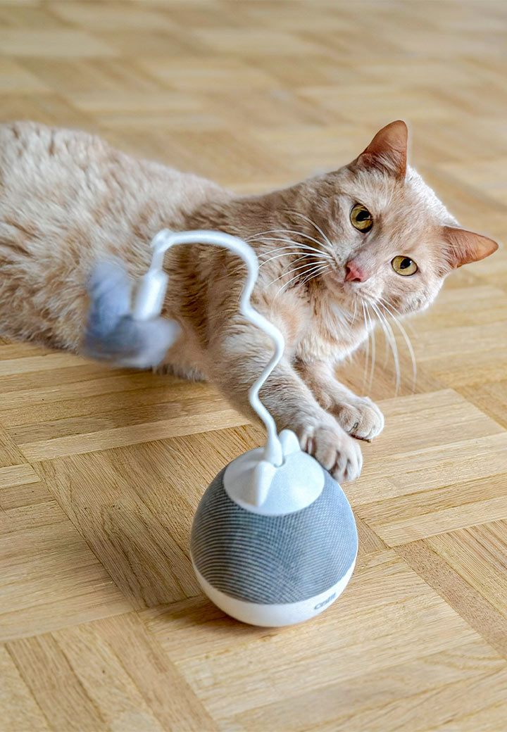 Catit Pixi Spinner silber Bild 2