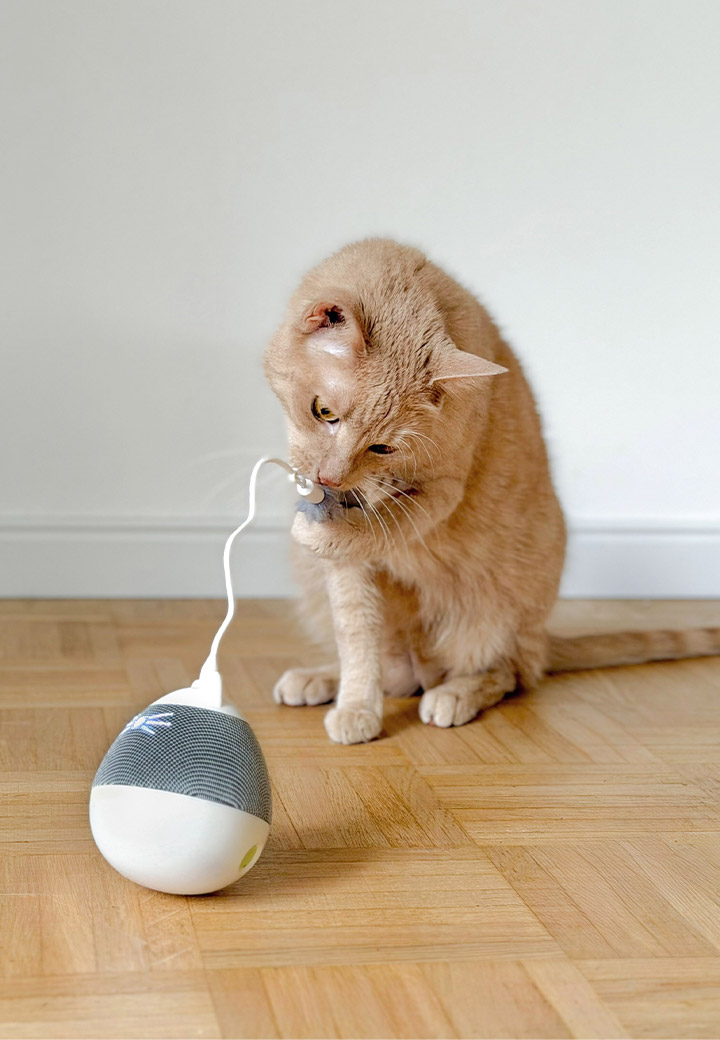 Catit Pixi Spinner silber Bild 3