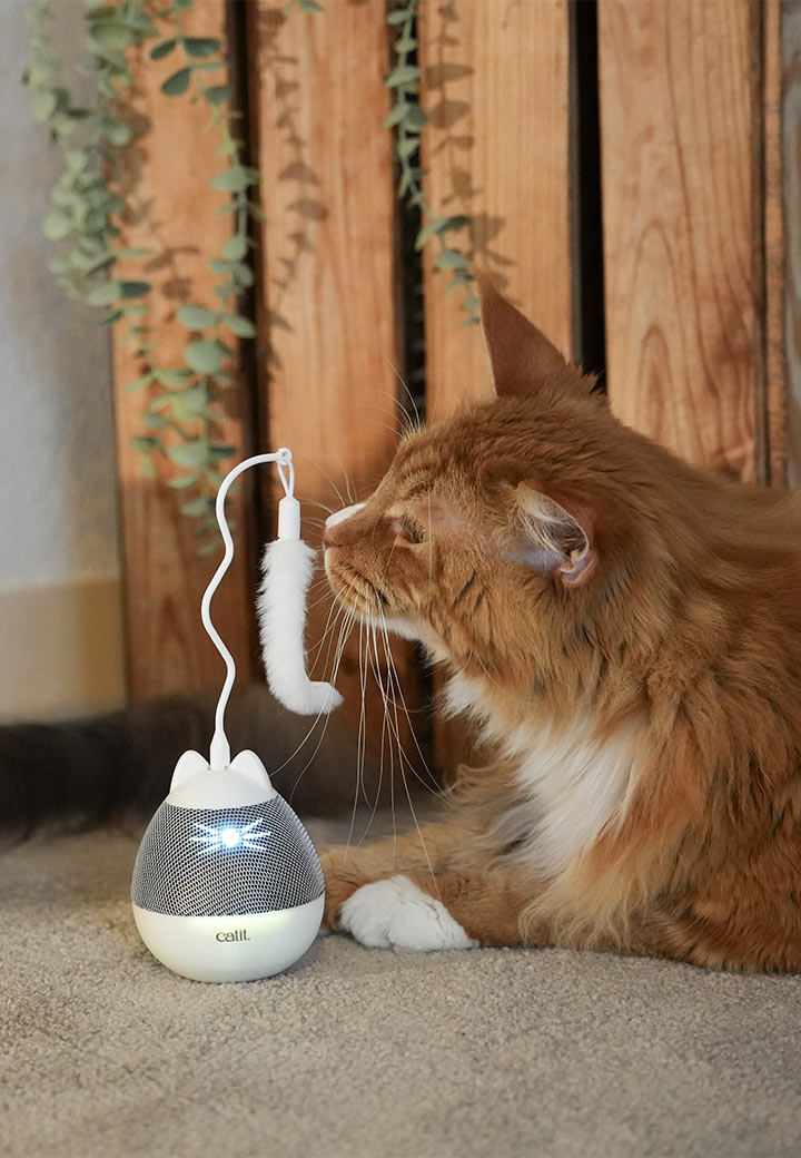 Catit Pixi Spinner silber Bild 5