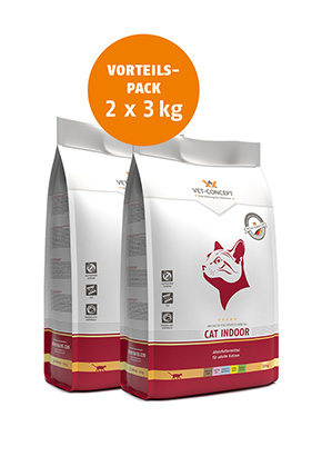 Cat Indoor