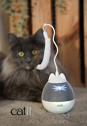 Catit Pixi Spinner silber