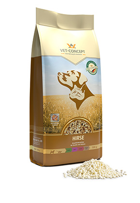 Hirse 500g 2x 500g