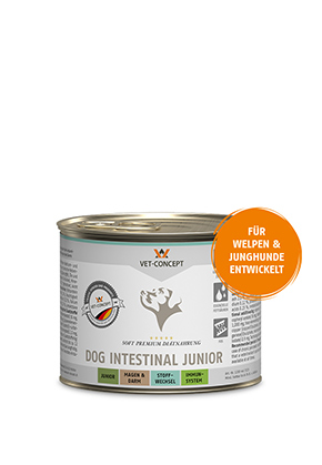 Hundemenue Intestinal Junior