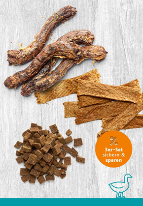 Snack-Bundle-Hund ENTE