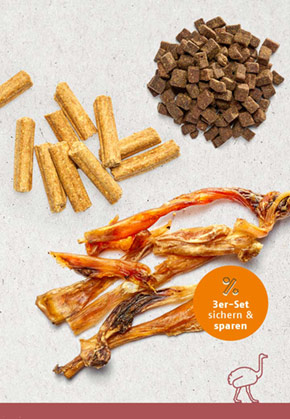 Snack-Bundle-Hund STRAUSS