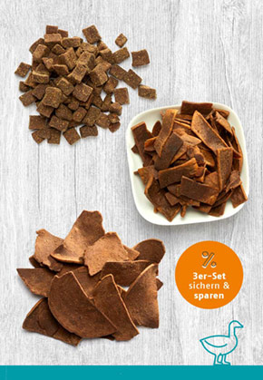 Snack-Bundle-Katze ENTE