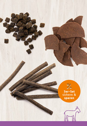 Snack-Bundle-Katze ZIEGE