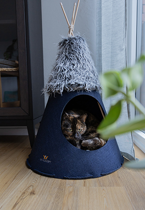 Wie macht man ein katzen tipi